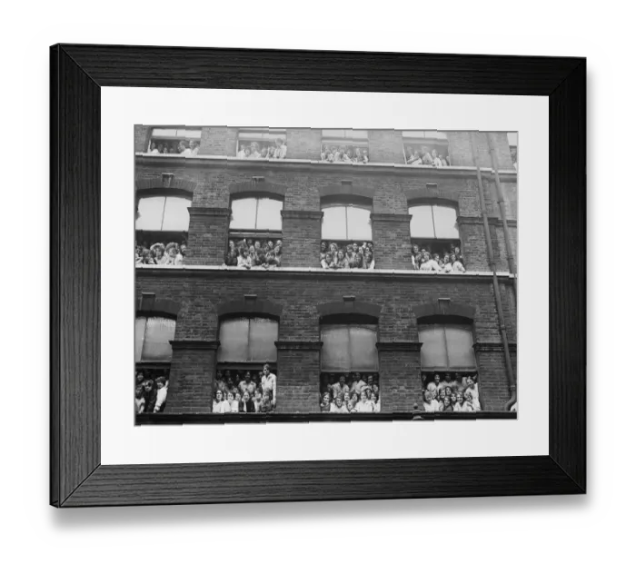 Framed Print : Window Watch Framed Print : Window Watch