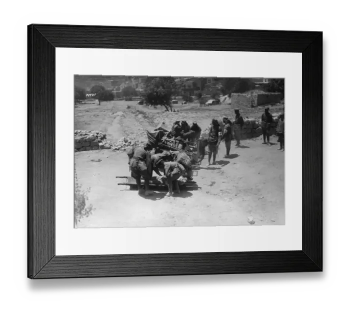 Framed Print : Camel Ambulance Framed Print : Camel Ambulance