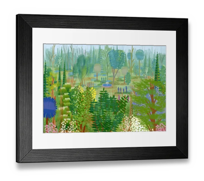 Framed Print : Dry forest in atmospheric mist Framed Print : Dry forest in atmospheric mist