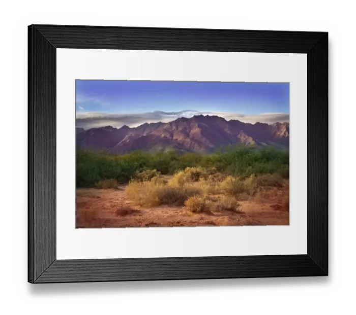 Framed Print : Morning in Sonora Desert at Phoenix, Arizona