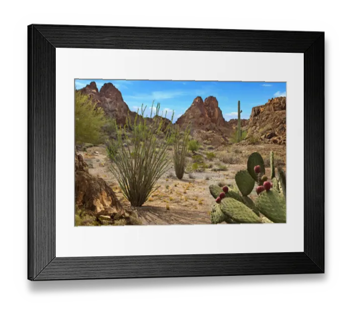 Framed Print : Desert Scene with cactus and mountains from Arizona Framed Print : Desert Scene with cactus and mountains from Arizona