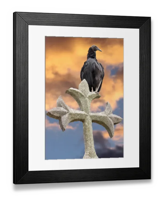 Framed Print : Vulture on Cross and Sunset