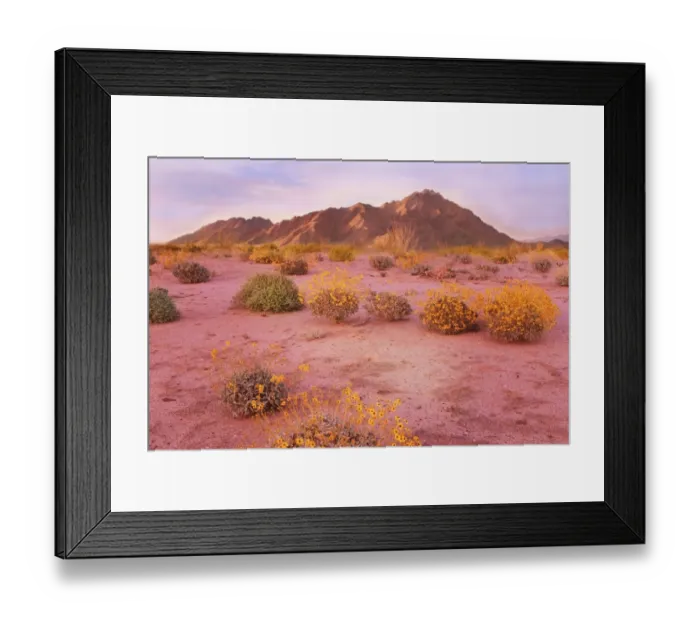 Framed Print : Sunset Puerto Penasco Sonoran Desert Mexico Framed Print : Sunset Puerto Penasco Sonoran Desert Mexico