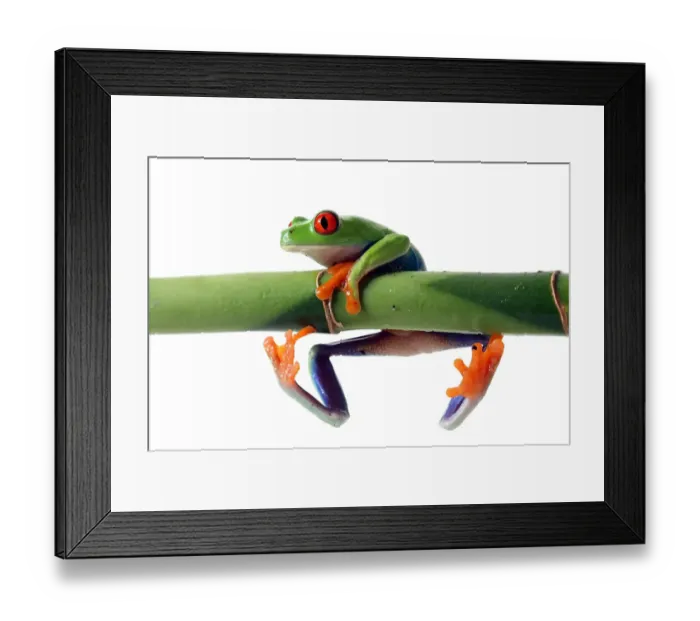 Framed Print : Get A Grip