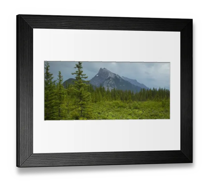 Framed Print : Mount Rundle Framed Print : Mount Rundle