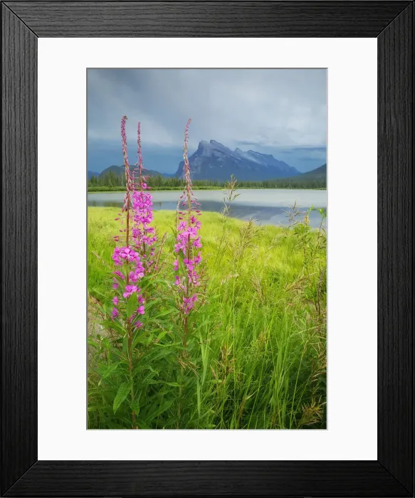 Framed Print : Mount Rundle Framed Print : Mount Rundle