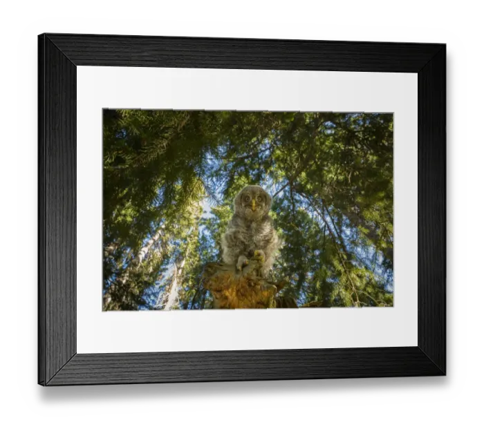 Framed Print : Down below Framed Print : Down below