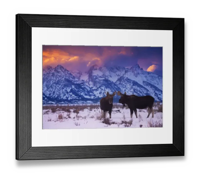 Framed Print : Looking the wrong way Framed Print : Looking the wrong way
