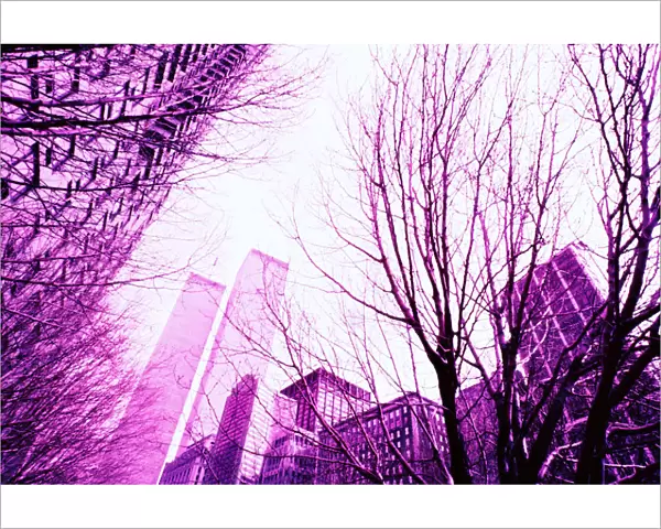Low Angle View, New York, New York City, Nobody, Outdoors, Pink, Skyscraper