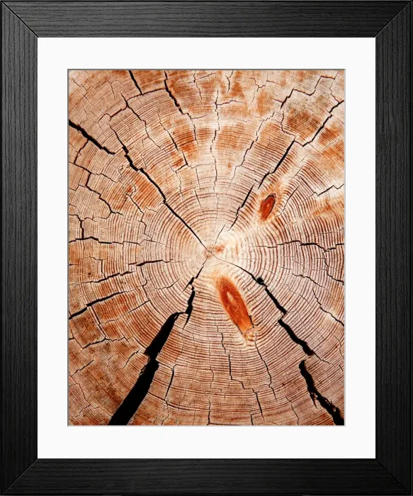 Framed Print : Galaxy. Cut down a tree. The construction of a new wooden church Framed Print : Galaxy. Cut down a tree. The construction of a new wooden church