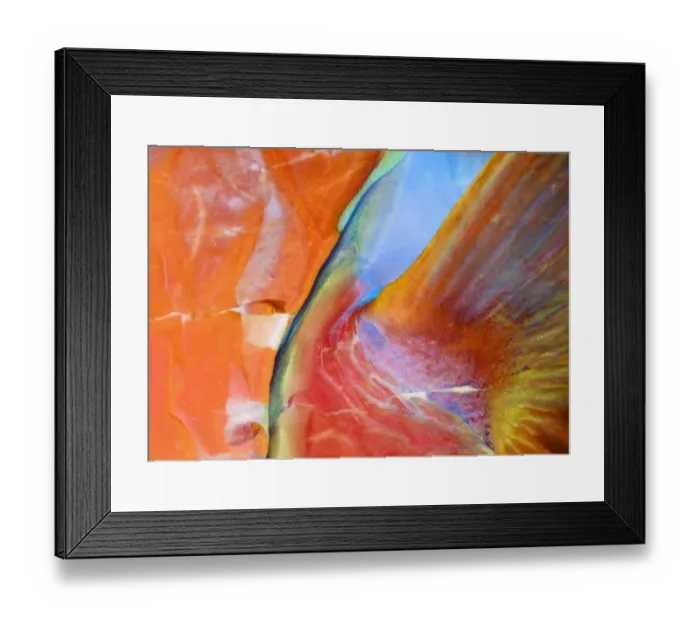 Framed Print : Wild. parrot-fish close-up. Wildlife. Night dive.Gills and fin Framed Print : Wild. parrot-fish close-up. Wildlife. Night dive.Gills and fin