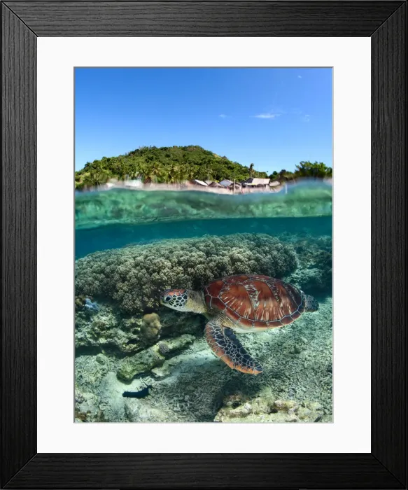 Framed Print : Along the shore