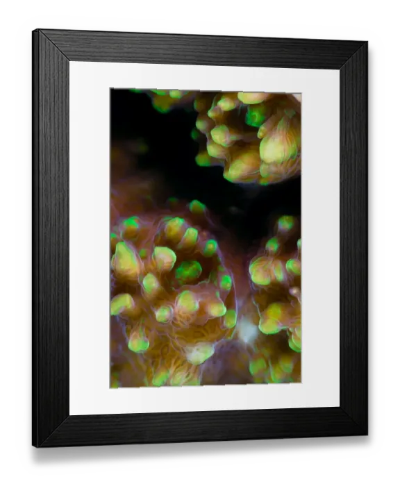 Framed Print : Alien form Framed Print : Alien form