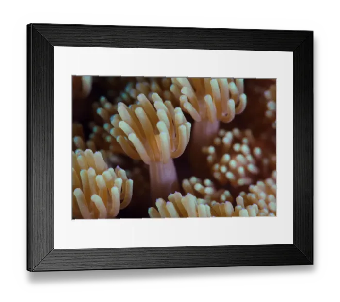Framed Print : Alien form Framed Print : Alien form
