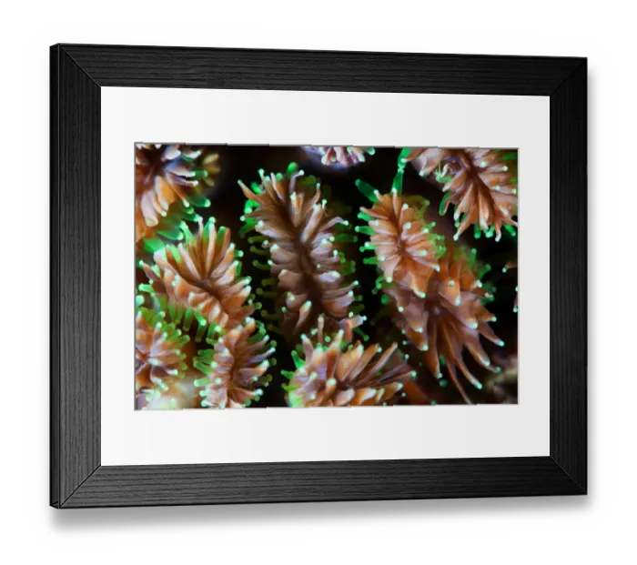 Framed Print : Alien form Framed Print : Alien form
