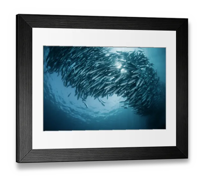 Framed Print : Smoke. Andrey Narchuk Photography, 156962270 Framed Print : Smoke. Andrey Narchuk Photography, 156962270