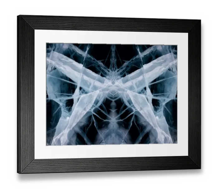 Framed Print : Ice web Framed Print : Ice web
