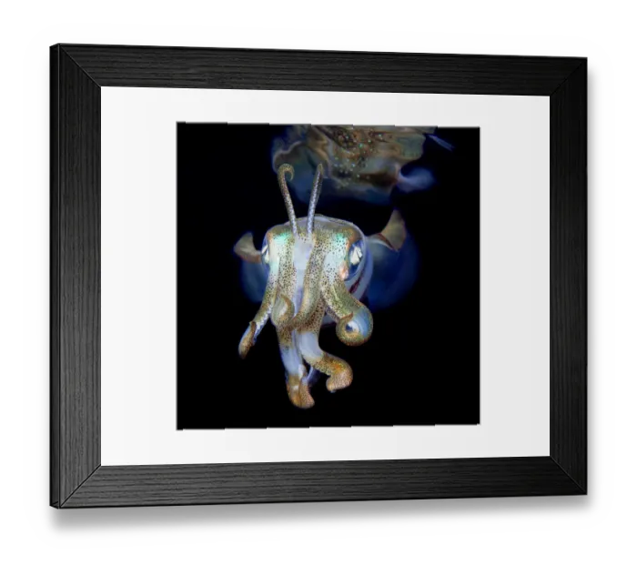 Framed Print : Little ghost Framed Print : Little ghost