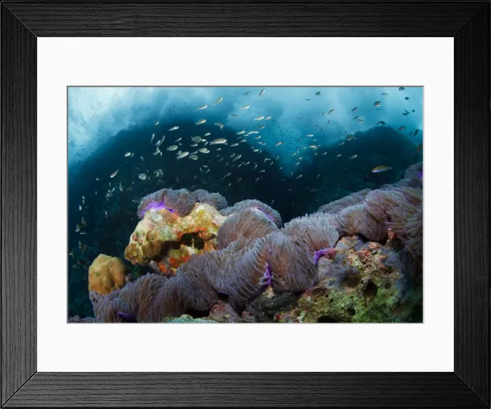Framed Print : At surf zone Framed Print : At surf zone