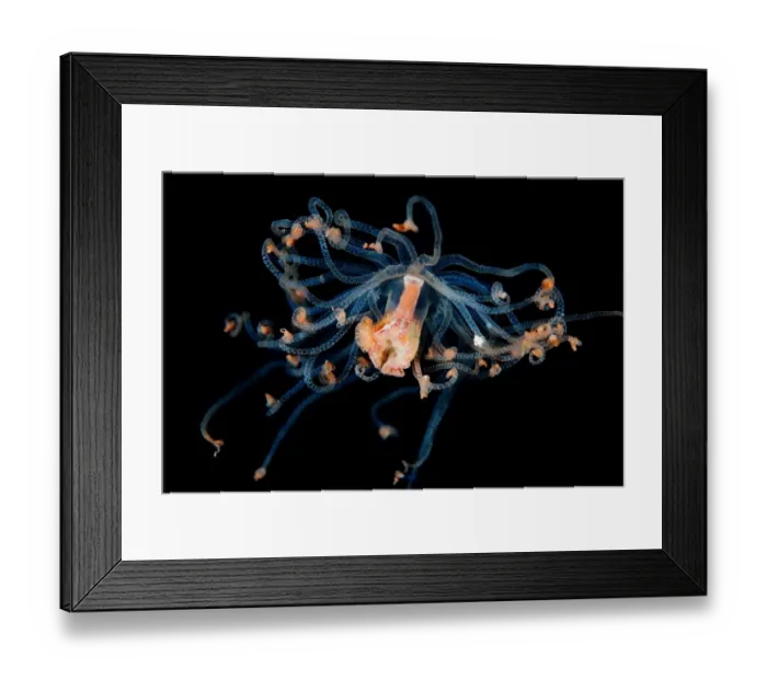 Framed Print : Alien form Framed Print : Alien form