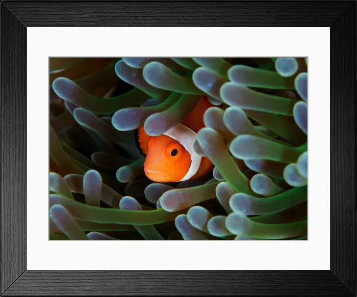 Framed Print : Eternal theme Framed Print : Eternal theme