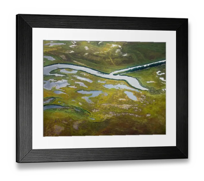 Framed Print : River branch Framed Print : River branch