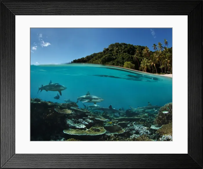 Framed Print : Paradise island Framed Print : Paradise island
