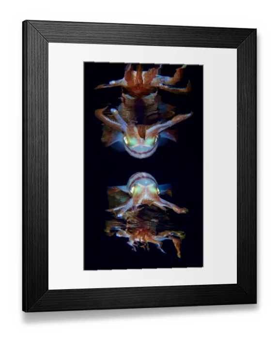 Framed Print : Double reflrction Framed Print : Double reflrction