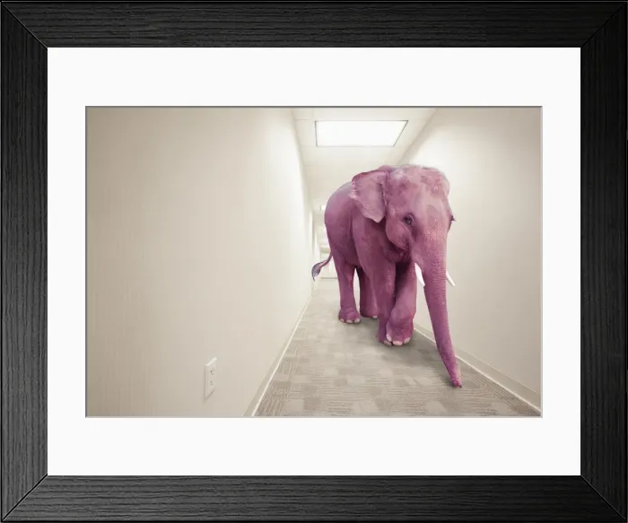 Framed Print : animals, avoidance, bizarre, california, color image, concept, copy space, corridor Framed Print : animals, avoidance, bizarre, california, color image, concept, copy space, corridor