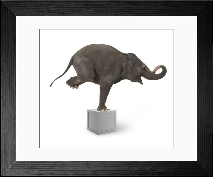 Framed Print : Easy Retouch, Photography, Colour, side view, full length, white background, grey Framed Print : Easy Retouch, Photography, Colour, side view, full length, white background, grey