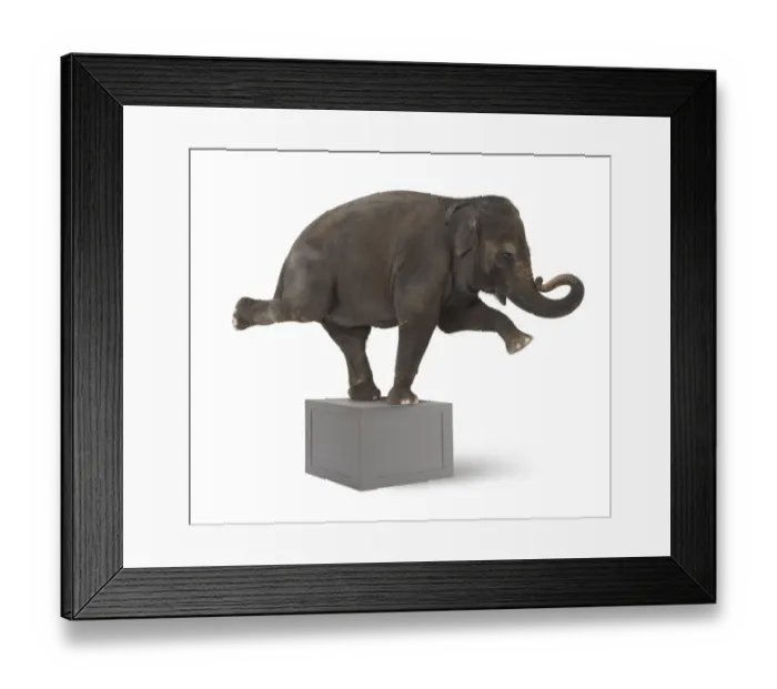 Framed Print : Easy Retouch, Photography, Colour, side view, full length, white background, grey Framed Print : Easy Retouch, Photography, Colour, side view, full length, white background, grey