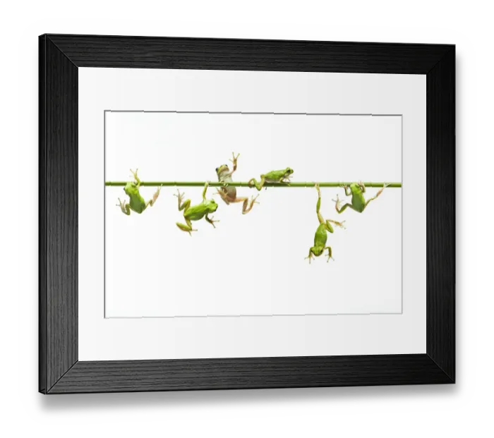 Framed Print : Green flogs each other freely on stem Framed Print : Green flogs each other freely on stem