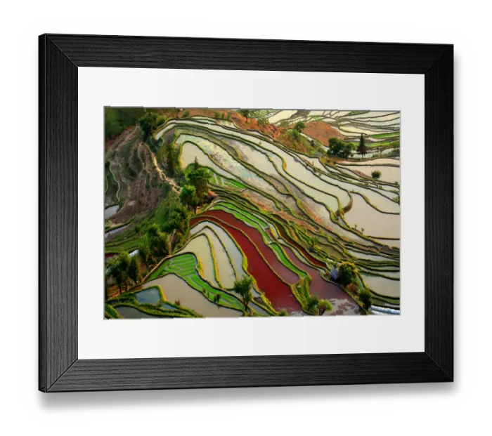 Framed Print : Yuanyang Rice Terrace Framed Print : Yuanyang Rice Terrace