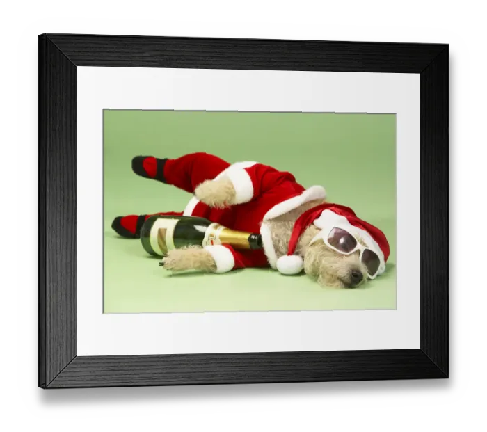 Framed Print : Champagne and Shades Santa Dog Framed Print : Champagne and Shades Santa Dog