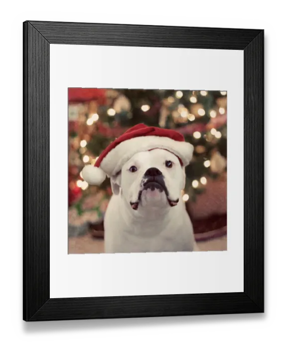 Framed Print : Merry Christmas Framed Print : Merry Christmas