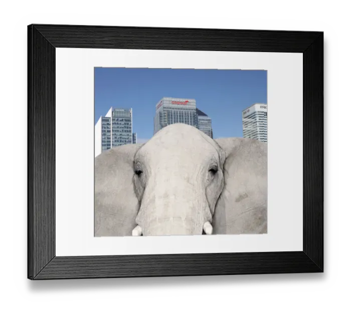 Framed Print : City Elephant Framed Print : City Elephant