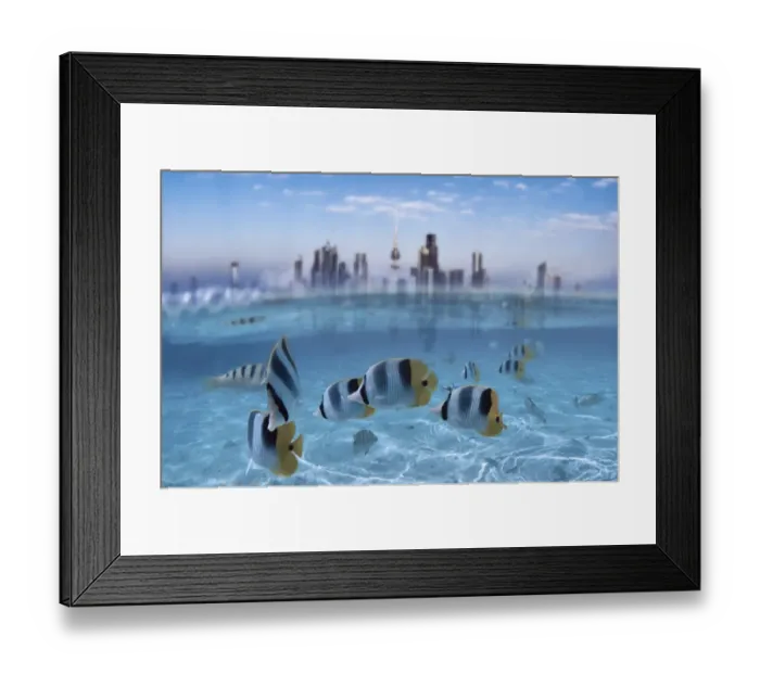 Framed Print : Fishes in sea Framed Print : Fishes in sea