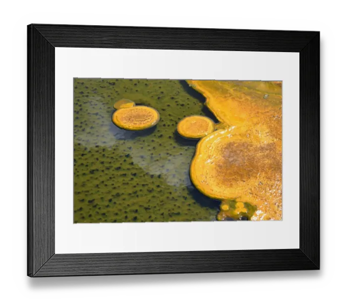 Framed Print : Paint Pots of Yellowstone National Park Framed Print : Paint Pots of Yellowstone National Park