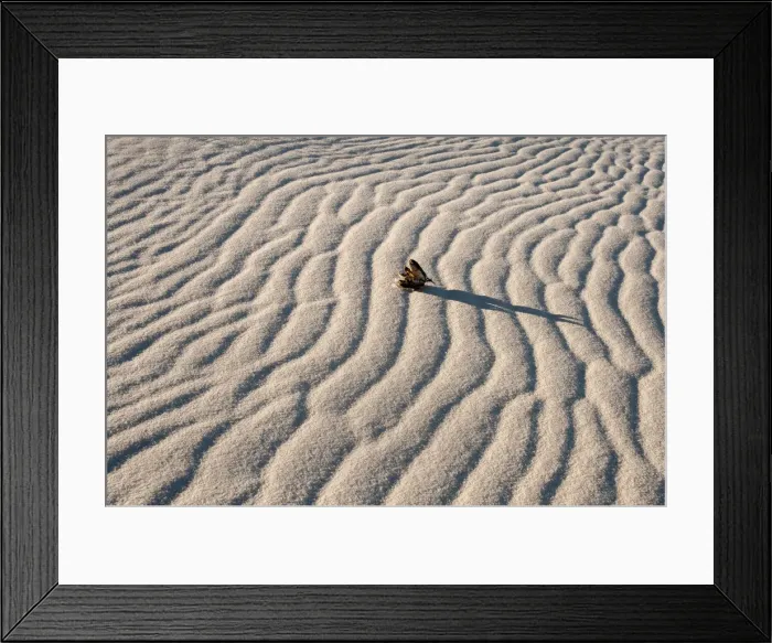 Framed Print : White Sands National Monument scenic