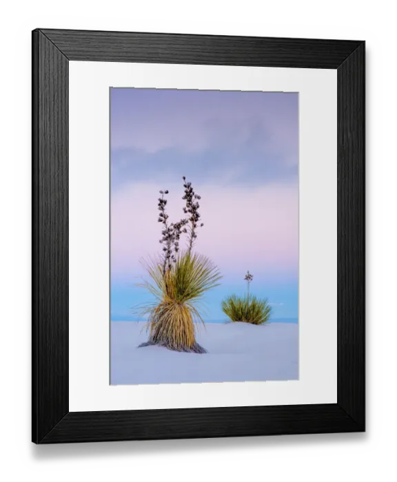 Framed Print : White Sands National Monument scenic