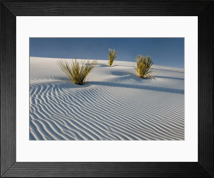 Framed Print : White Sands National Monument scenic Framed Print : White Sands National Monument scenic