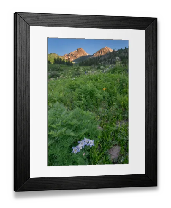 Framed Print : Yankee Boy Basin Framed Print : Yankee Boy Basin