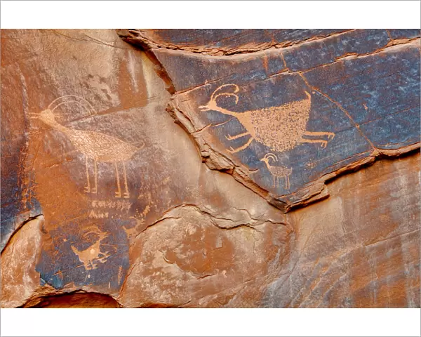 Petroglyph in Monument Valley
