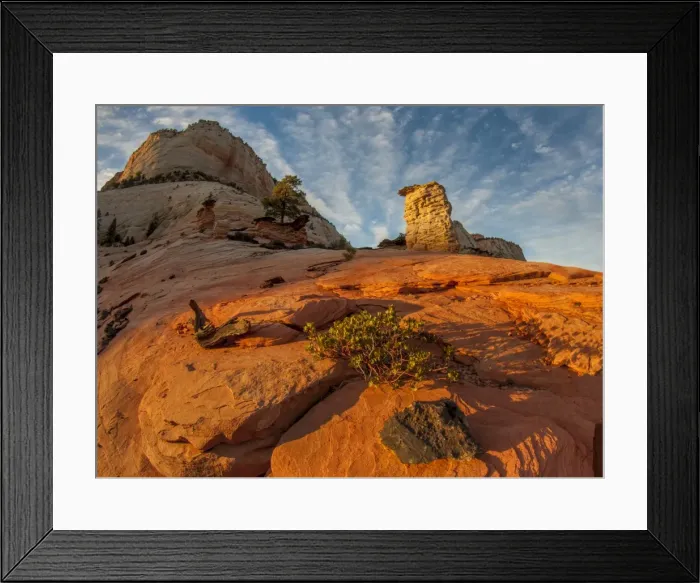 Framed Print : Zion NP hoodoo at sunset