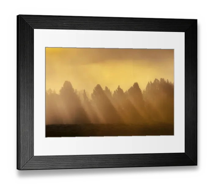 Framed Print : AM sunrise through fog in Hayden Valley Yellowstone NP