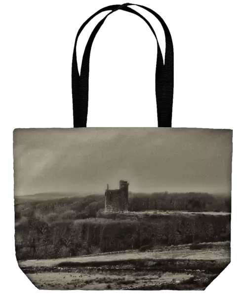 Stark Irish Castle Ruins (black & white)