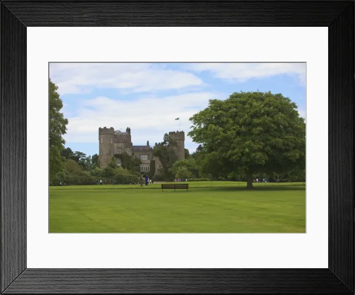 Framed Print : tree, vacation, fortress, castle, landmark, daytime, park, lawn, nobody, County Dublin Framed Print : tree, vacation, fortress, castle, landmark, daytime, park, lawn, nobody, County Dublin