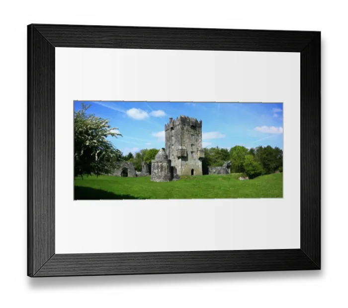Framed Print : tree, Medieval, retro, vacation, fortress, castle, landmark, architecture, outdoors