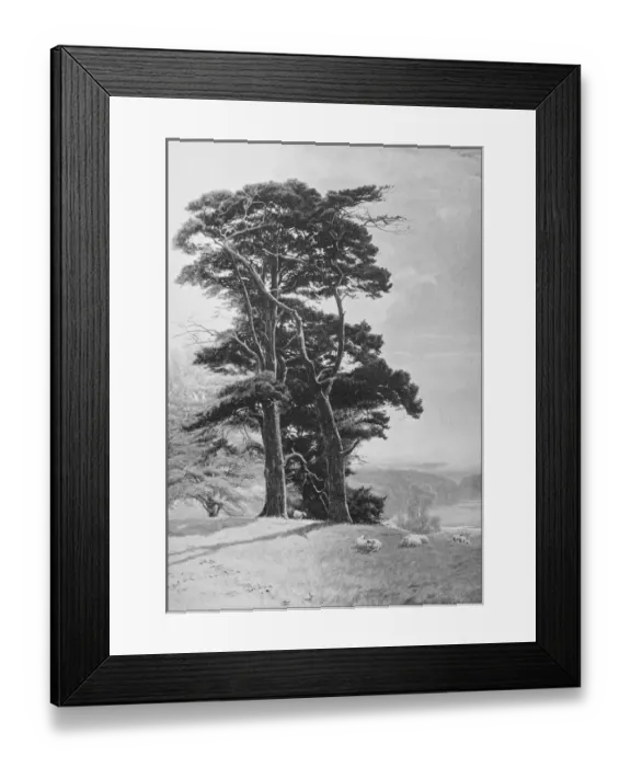 Framed Print : Antique photo of paintings: Landscape Framed Print : Antique photo of paintings: Landscape