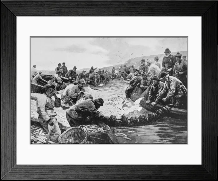 Framed Print : Antique photo of paintings: Pilchards Framed Print : Antique photo of paintings: Pilchards